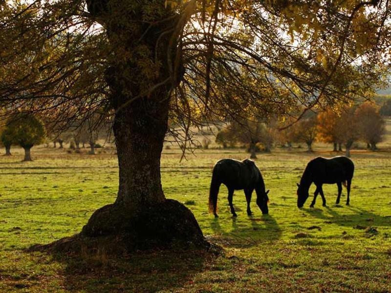 Villabamba Valdeavellano de Tera Esterno foto